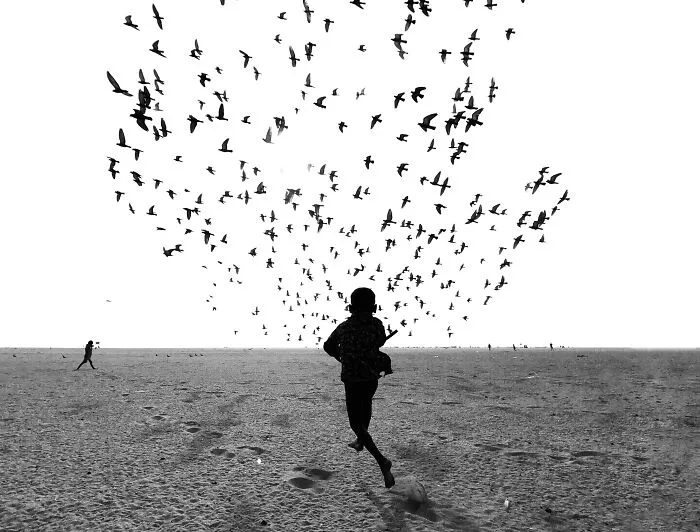 We Run, You Fly