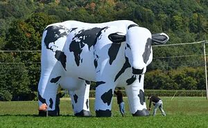 World Cow: Our 30 Pictures That Promote Positivity And Love All Around The World