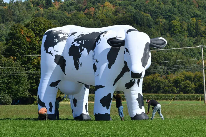 20 X 30 Sculpture In Vermont
