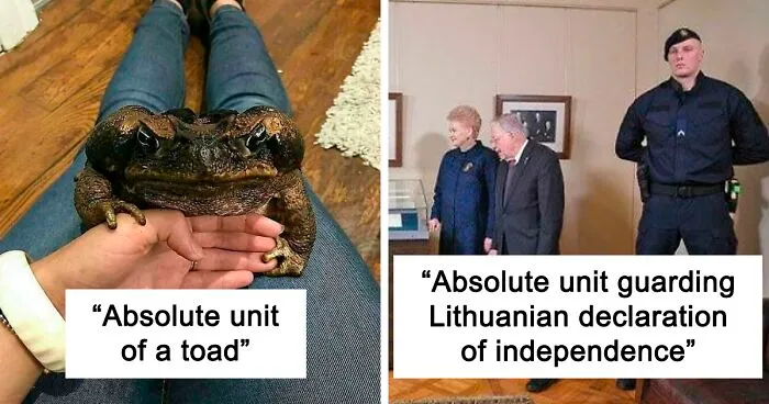 This Online Community Is Sharing Pics Of Absolute Units, And It's Hard To Believe Things Can Get This Big