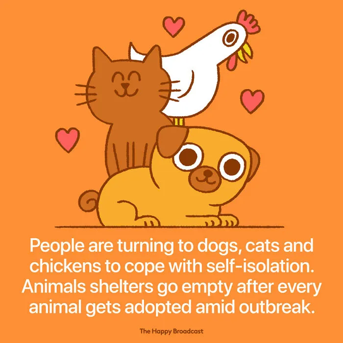 2020 Was A Hard Year, So This Man Illustrated The 40 Best News Of The Year To Outweigh The Negativity