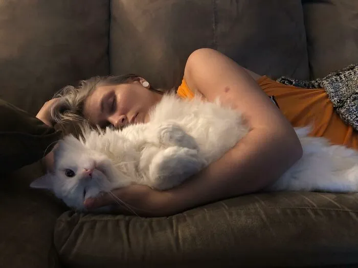People Are Loving This Online Group That Is Dedicated To Sharing Pictures Of The Fluffiest Cats Ever (50 Pics)