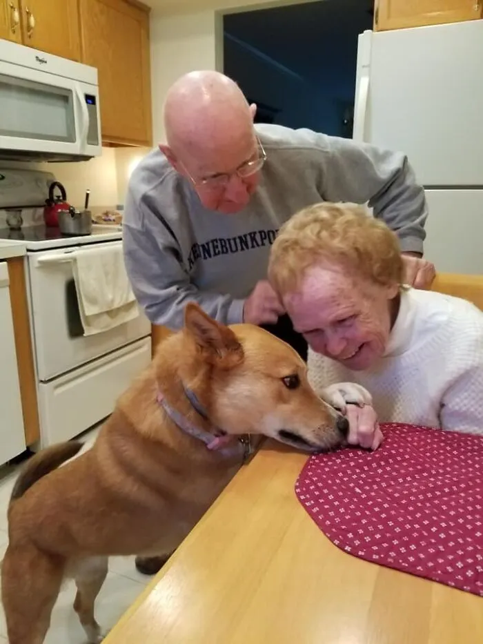 35 Of The Best Entries To The "GrandPawrents" Challenge In Which People Share Pics Of Parents With Their Pets