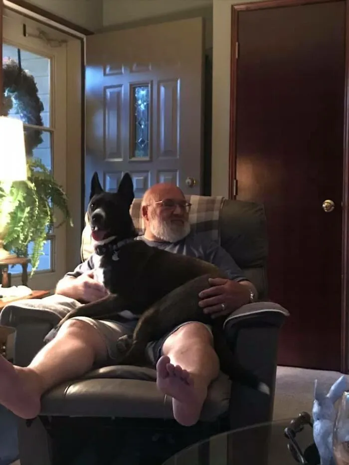 35 Of The Best Entries To The "GrandPawrents" Challenge In Which People Share Pics Of Parents With Their Pets