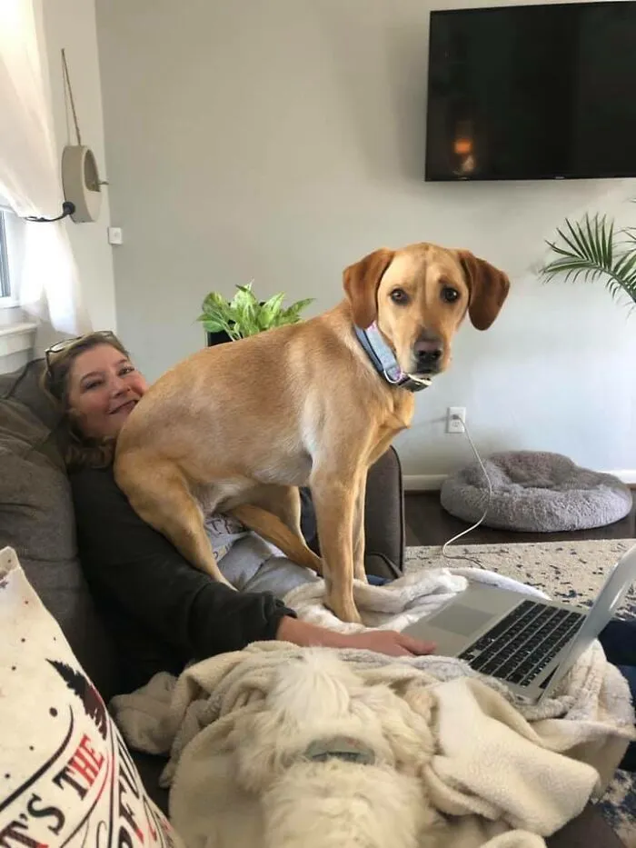 35 Of The Best Entries To The "GrandPawrents" Challenge In Which People Share Pics Of Parents With Their Pets