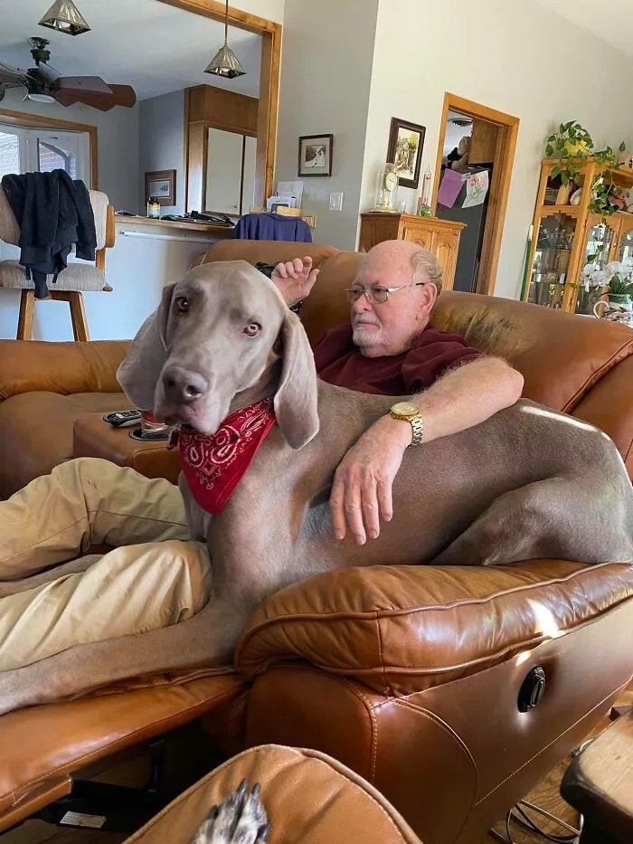 35 Of The Best Entries To The "GrandPawrents" Challenge In Which People Share Pics Of Parents With Their Pets