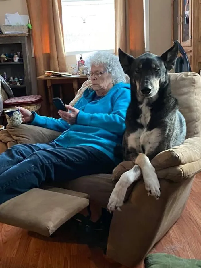 35 Of The Best Entries To The "GrandPawrents" Challenge In Which People Share Pics Of Parents With Their Pets