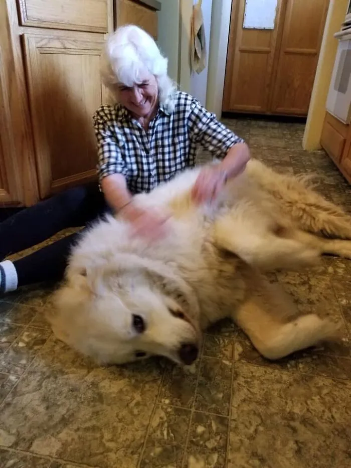35 Of The Best Entries To The "GrandPawrents" Challenge In Which People Share Pics Of Parents With Their Pets