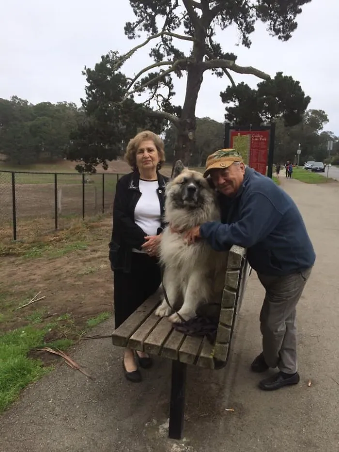 35 Of The Best Entries To The "GrandPawrents" Challenge In Which People Share Pics Of Parents With Their Pets