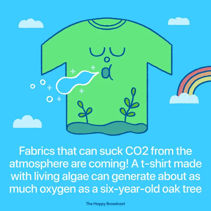 2020 Was A Hard Year, So This Man Illustrated The 40 Best News Of The Year To Outweigh The Negativity