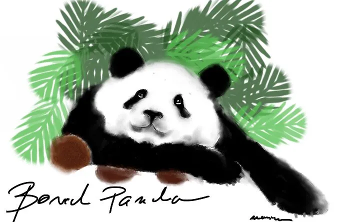 Bored Panda Again