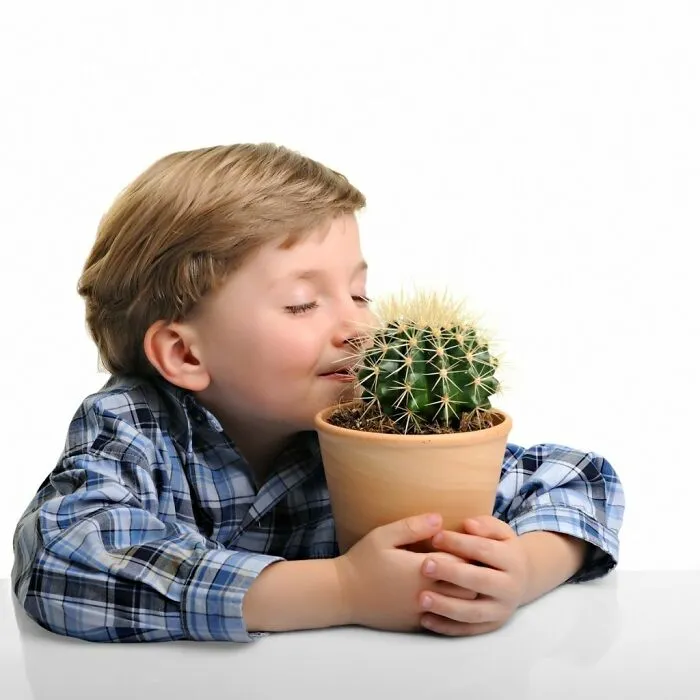Kiss The Cactus