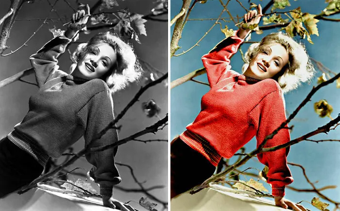 Black and colorized side-by-side images of a classic Hollywood celebrity in a red sweater among tree branches.