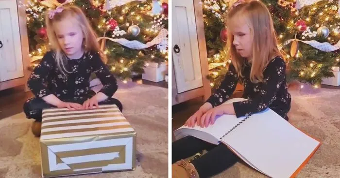 Aunt Organizes A Fundraiser To Raise Money For A Collection Of Braille Harry Potter Books For Her Blind Niece, And Her Reaction Is Priceless