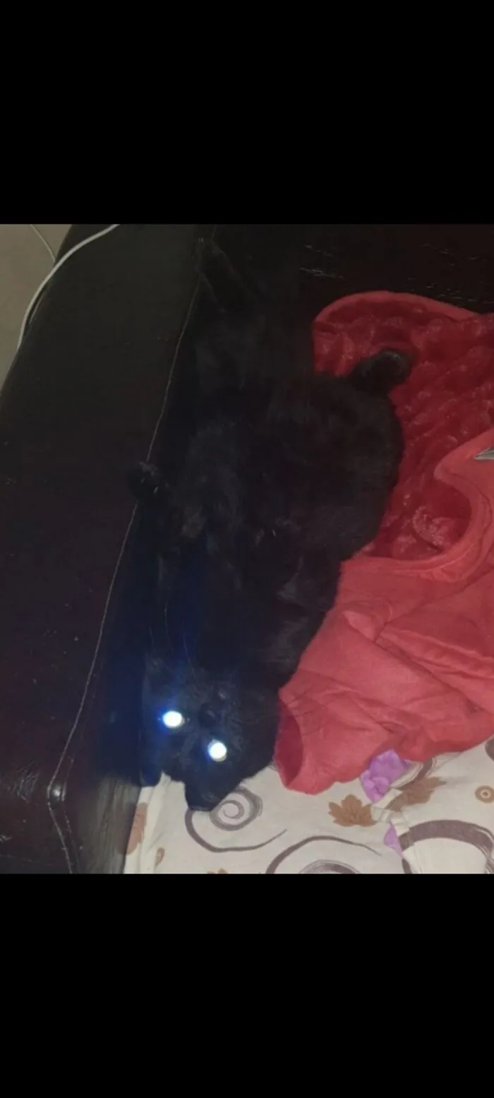 Summoning Complete