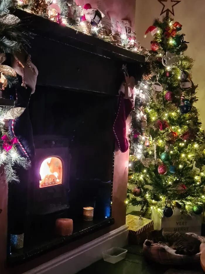 Our Tree