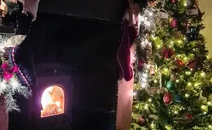 Hey Pandas, Share Your Christmas Tree With Us (Closed)