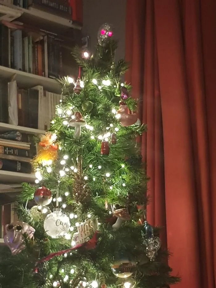 This Is My Tree, Topped, As Ever, With Captain Jack, With His Glowing Eyes