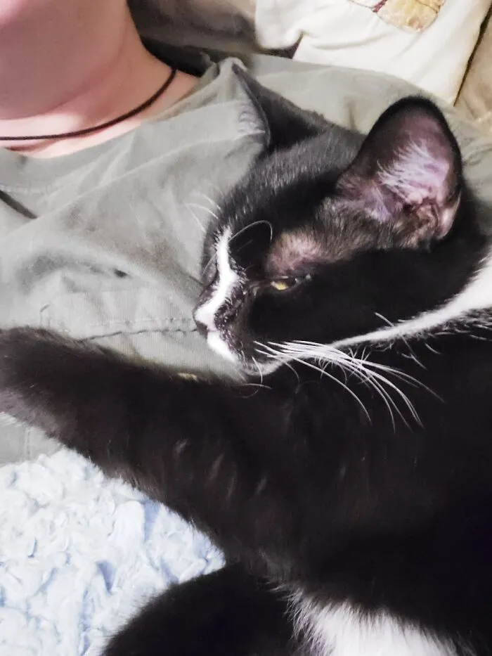 Zim Is Not Happy I Disturbed His Sleep