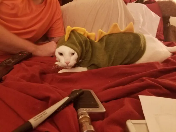 Here Is My Beautiful Dinocat.