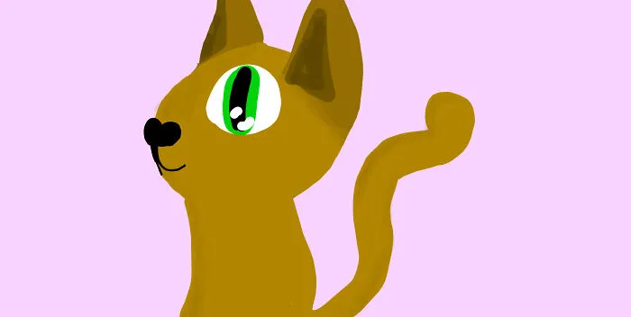 Cat?