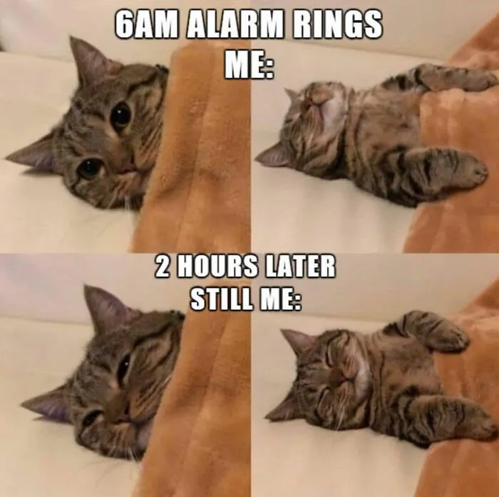 I Relate To Second Photo Way Too Much