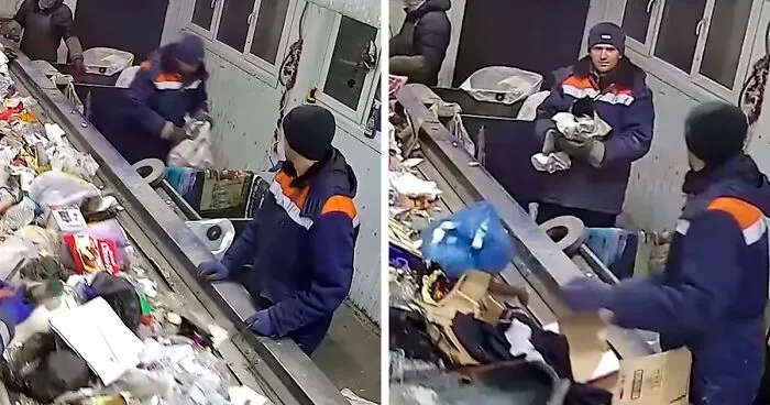 Worker Rescues Cat In A Bag Only Seconds Away From It Being Crushed By Garbage Machine