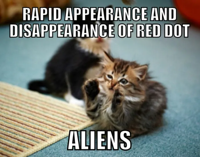 Hey Pandas, Post Your Favorite Cat Meme (Closed)