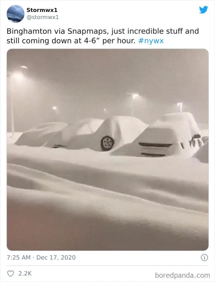Record-Breaking Snowfall Buries Binghamton, New York, And Here's What People Woke Up To (30 Pics)