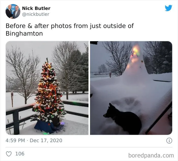 Record-Breaking Snowfall Buries Binghamton, New York, And Here's What People Woke Up To (30 Pics)