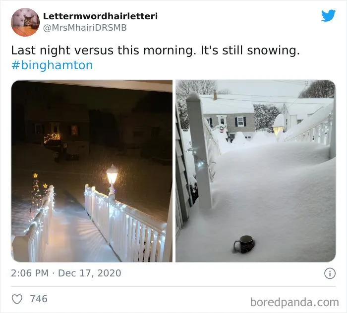 Record-Breaking Snowfall Buries Binghamton, New York, And Here's What People Woke Up To (30 Pics)