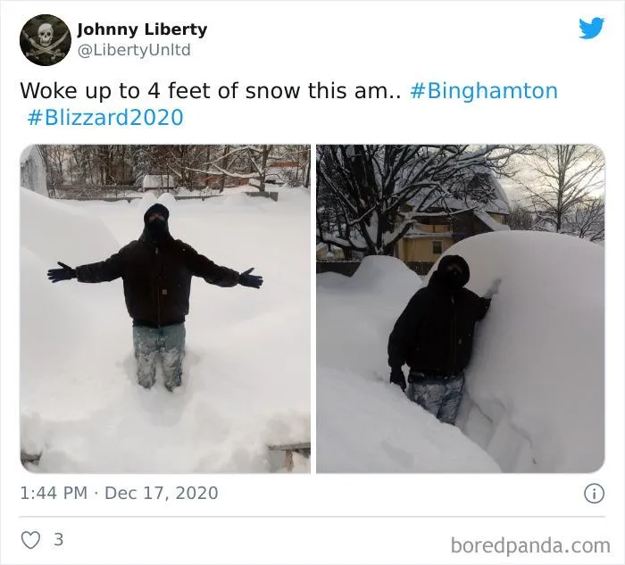 Record-Breaking Snowfall Buries Binghamton, New York, And Here's What People Woke Up To (30 Pics)