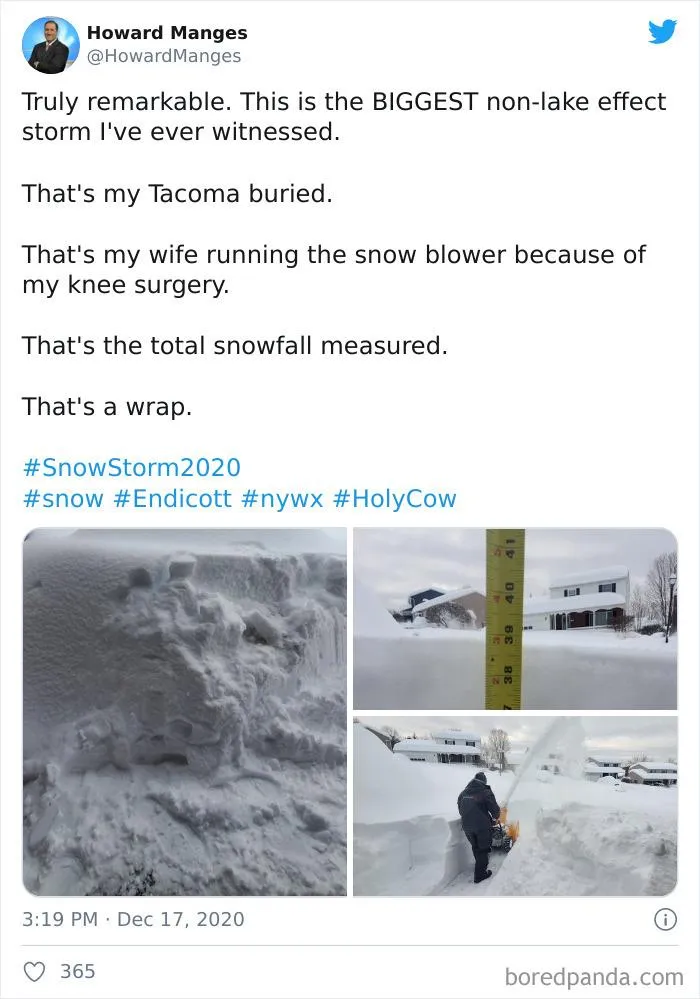 Record-Breaking Snowfall Buries Binghamton, New York, And Here's What People Woke Up To (30 Pics)