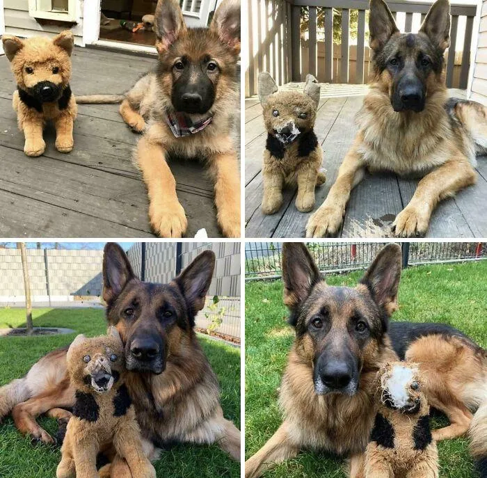 Strider Poses Through The Years With His Baby