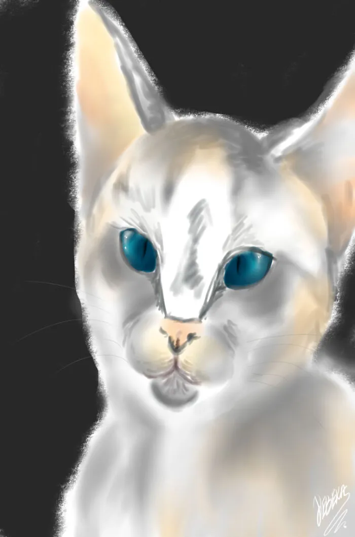 My Sweet Little Kitten ^.^