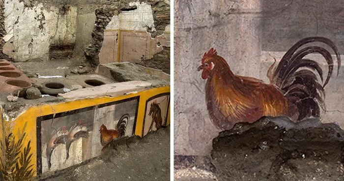 A "Fast Food" Shop Is Uncovered In Pompeii, Depicting Some Of The Dishes They Would Eat