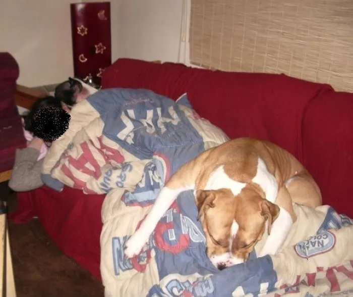 The Drunk Position (Another Hidden Dog In This Pic)