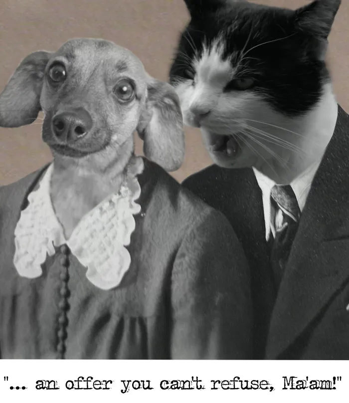 Usually My Cat Makes These Offers To Me. ...without Wearing My Grandfather's Suit