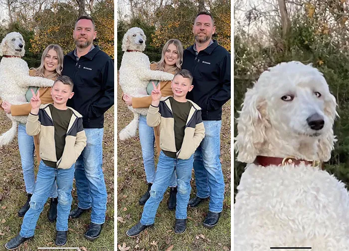 39 Christmas Pics That Were Supposed To Be Nice Until The Dog Showed Up