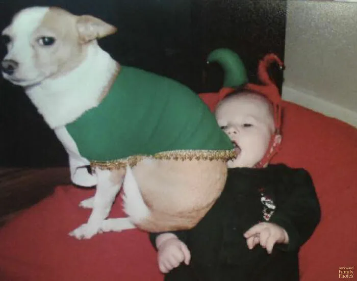 39 Christmas Pics That Were Supposed To Be Nice Until The Dog Showed Up