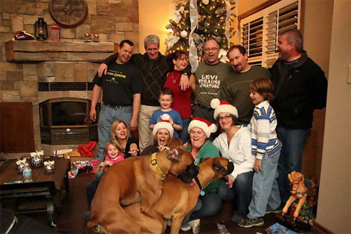 39 Christmas Pics That Were Supposed To Be Nice Until The Dog Showed Up