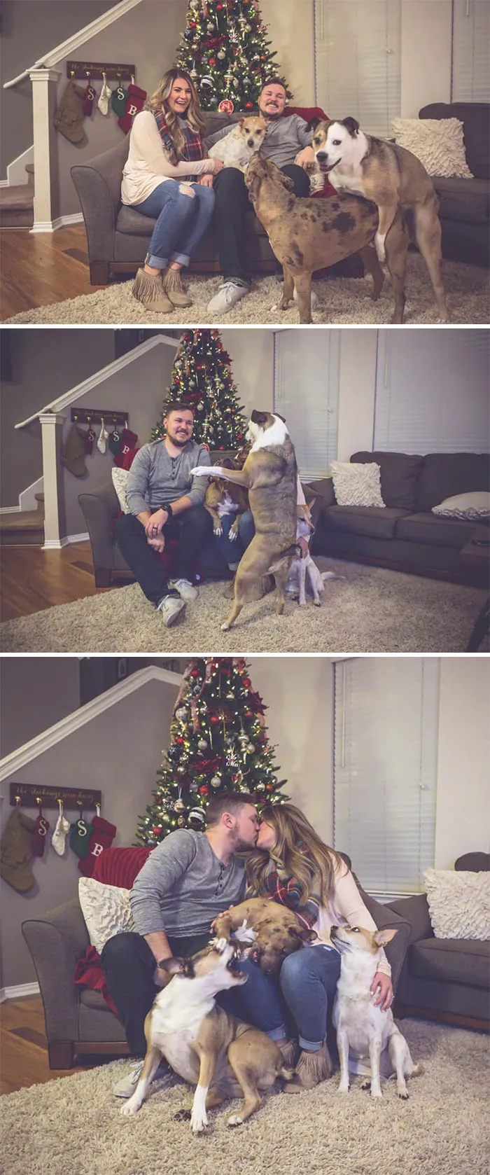 39 Christmas Pics That Were Supposed To Be Nice Until The Dog Showed Up