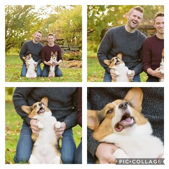 39 Christmas Pics That Were Supposed To Be Nice Until The Dog Showed Up