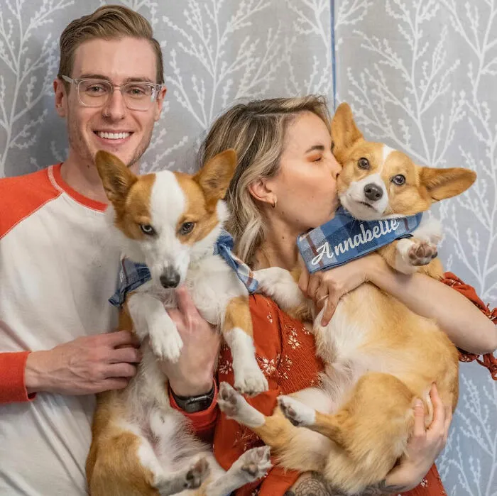 39 Christmas Pics That Were Supposed To Be Nice Until The Dog Showed Up