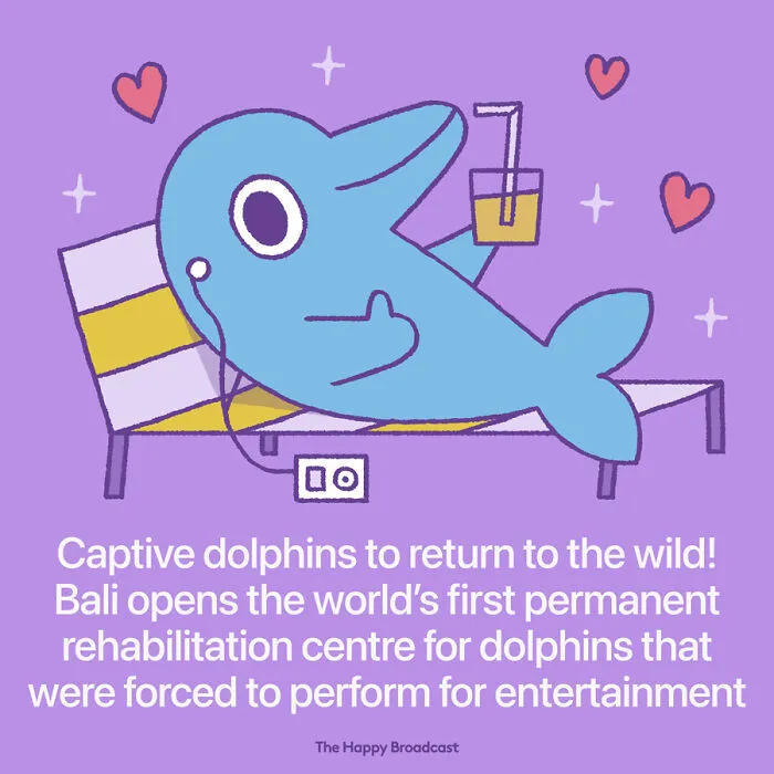 2020 Was A Hard Year, So This Man Illustrated The 40 Best News Of The Year To Outweigh The Negativity