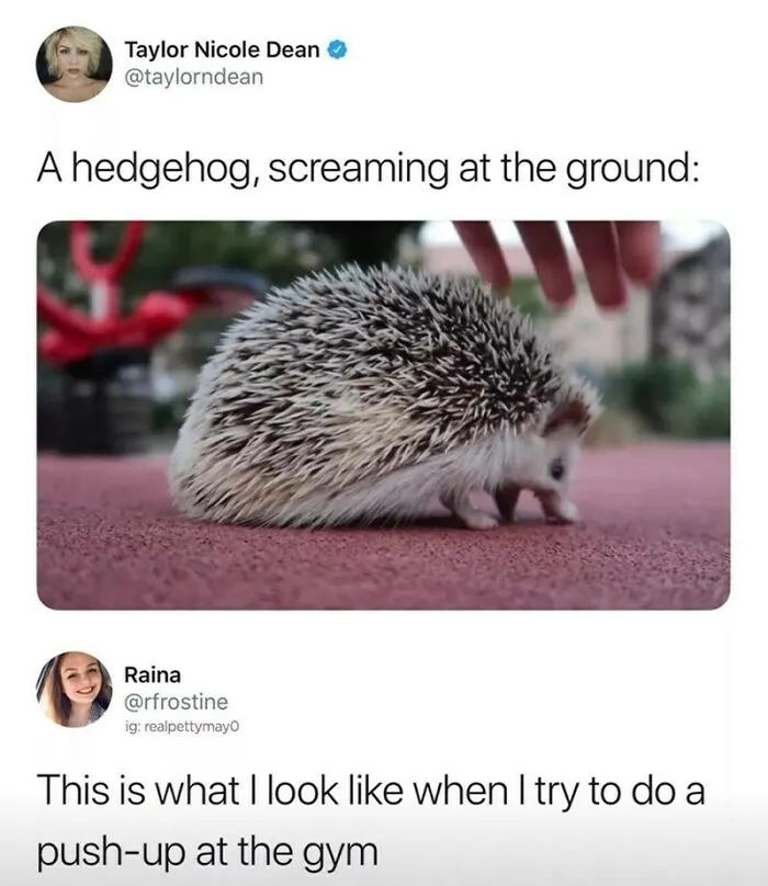 This Is A Funny And Cute Meme Xd