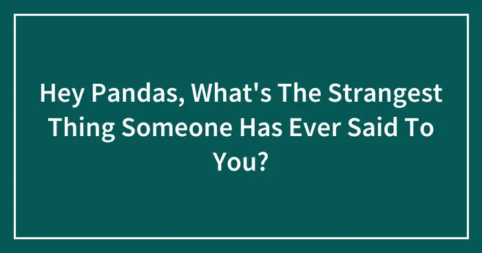 Hey Pandas, What's The Strangest Thing Someone Has Ever Said To You? (Closed)