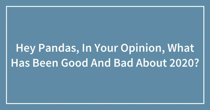 Hey Pandas, In Your Opinion, What Has Been Good And Bad About 2020? (Closed)