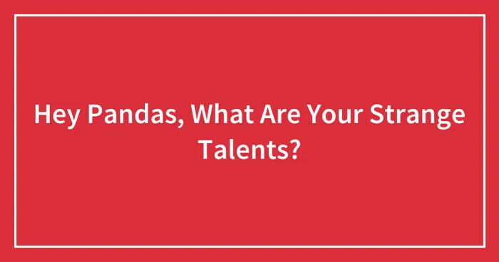Hey Pandas, What Are Your Strange Talents? (Closed)