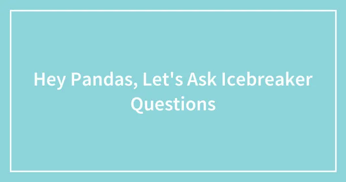 Hey Pandas, Let's Ask Icebreaker Questions (Closed)